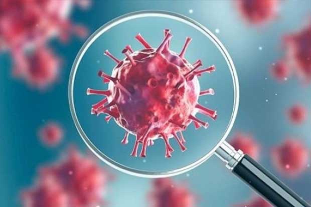 Novel Coronavirus reaches Indo-Nepal border Novel Coronavirus reaches Indo-Nepal border