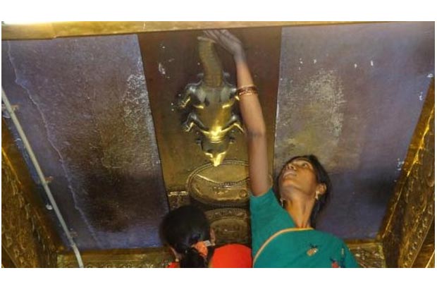 Touch these gold-silver plated lizards to lift your lizard based doshas Touch these gold-silver plated lizards to lift your lizard based doshas
