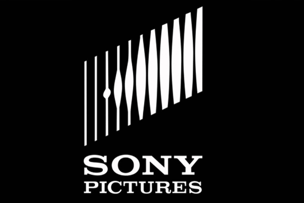 SPSN to live telecast Womens T20I tri-nation series