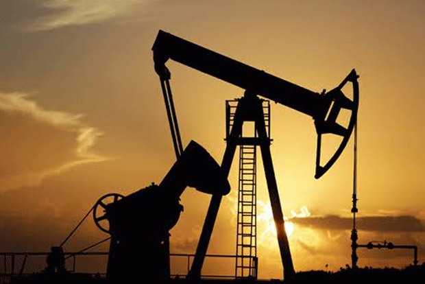 DMK hydrocarbon stir gets nod only in Tiruvarur district