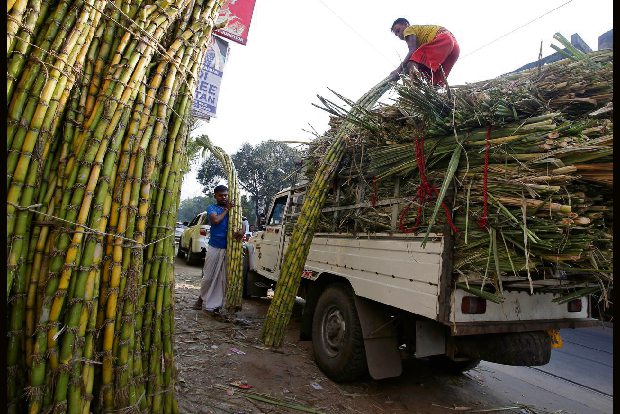 Sugar buyers nervous as Indian export surge fails to materialise