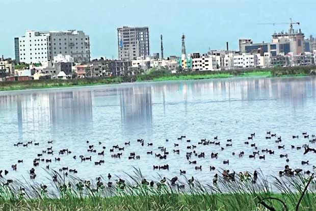 Pallikaranai wetland has shrunk