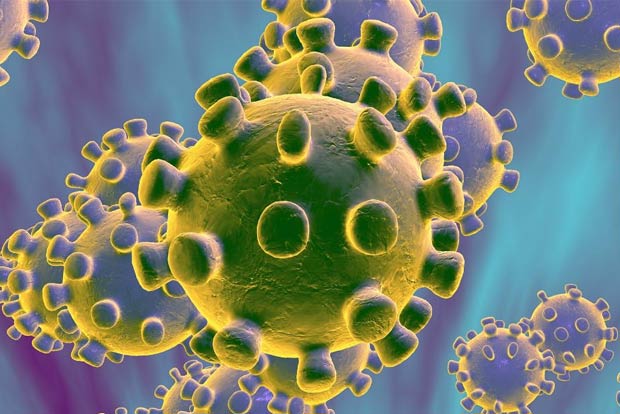 Doctors body warns of possible spread of coronavirus to Kashmir Valley