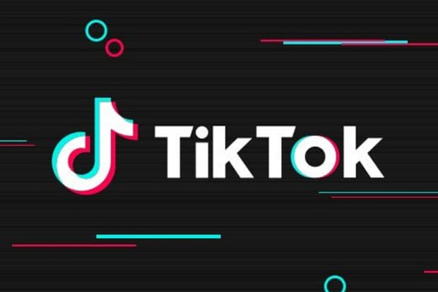 Will help creators in India till interim ban in place: TikTok CEO