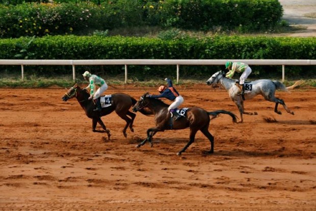Karnataka mulls online betting for horse racing in Covid times Karnataka mulls online betting for horse racing in Covid times