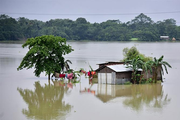 Assam flood affects 11 lakh people, death toll rises to 37