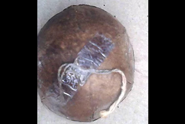 Boy suffers jaw injury after biting into countrymade bomb in TN