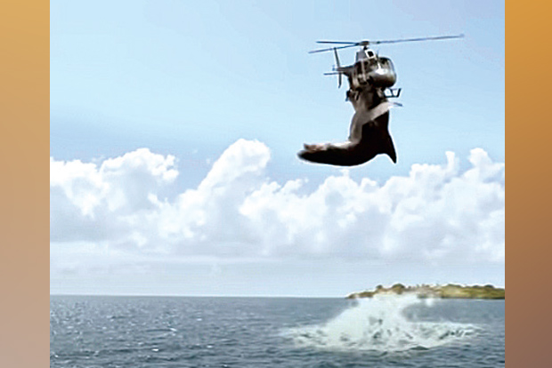 DeTect: Scene from movie pitched as shark attack on chopper