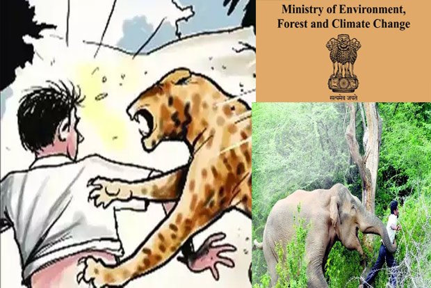 Wild animal-attack victims to get Rs 5L compensation Wild animal-attack victims to get Rs 5L compensation