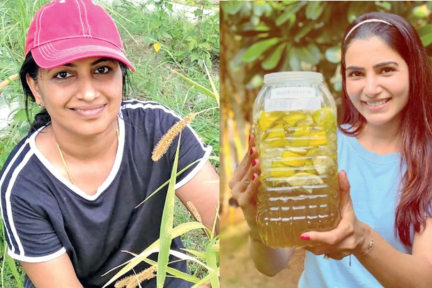 Chennaiites switch to bio enzymes to live a chemical-free life