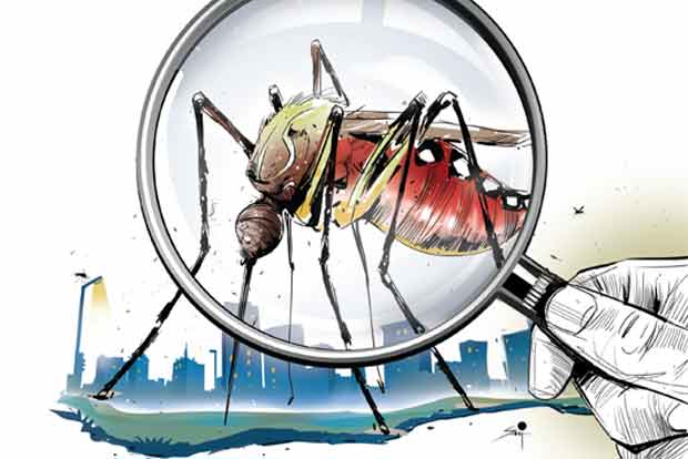 Coronavirus is not transmitted by mosquitoes, study shows Coronavirus is not transmitted by mosquitoes, study shows