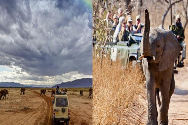 Alternative to wanderlust: Virtual tourism in Africa takes flight amid the pandemic