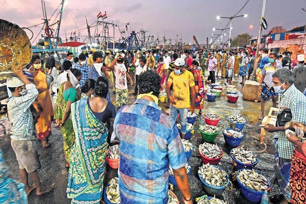 Public can’t enter Kasimedu fish market