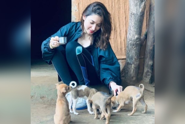 Tamannaah Bhatias pawfect puppy love