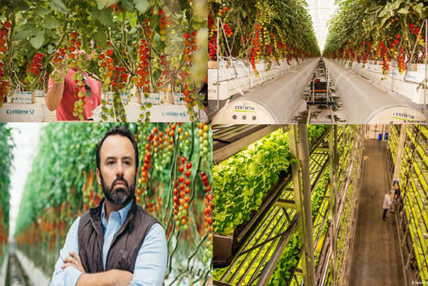 Answers fro parched earth: Agri in desert - Are vertical farms a solution to save water? Answers fro parched earth: Agri in desert - Are vertical farms a solution to save water?