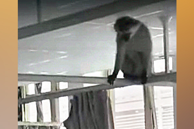 DeTect: Video from S Africa shared as that of hospital in India