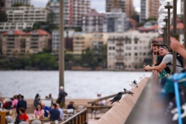 Australians asked to be patient with easing of restrictions Australians asked to be patient with easing of restrictions