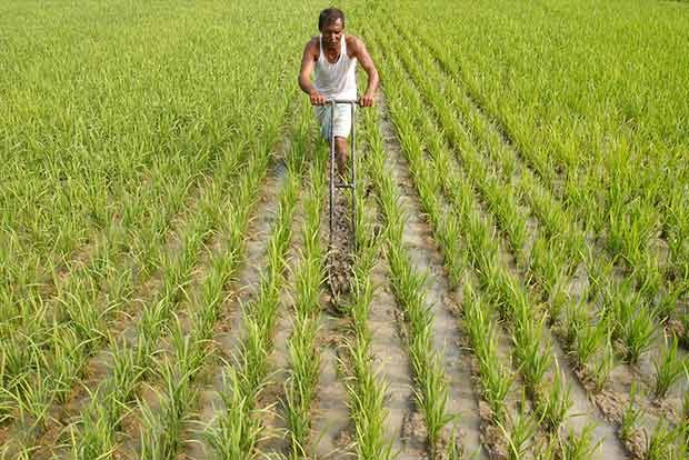 Repayment date for short term agri loans extended to Aug 31