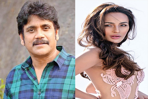 When Nagarjuna asked co-actor not to call him ‘sir’