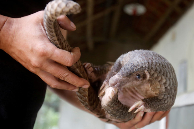 ‘Time for humanity to face its next evolution’