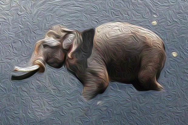 Editorial: Animal cruelty, an elephantine problem