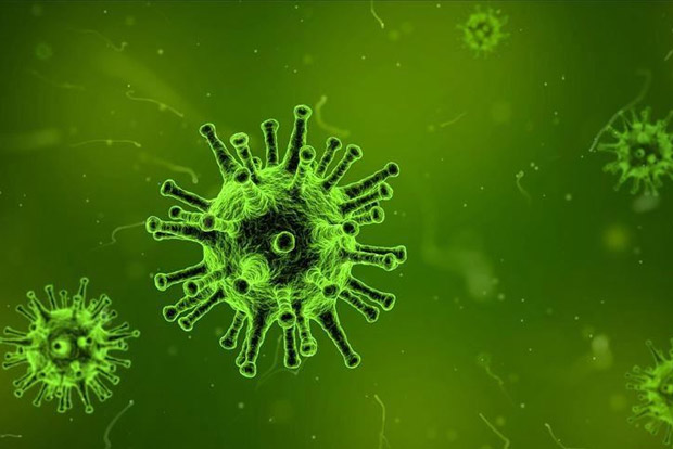 Now goddess coronavirus being worshipped in Jharkhand Now goddess coronavirus being worshipped in Jharkhand