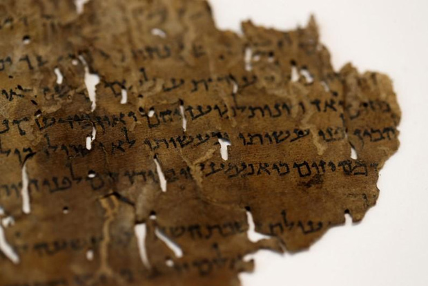 Hides that reveal: DNA helps scholars divine Dead Sea Scrolls Hides that reveal: DNA helps scholars divine Dead Sea Scrolls