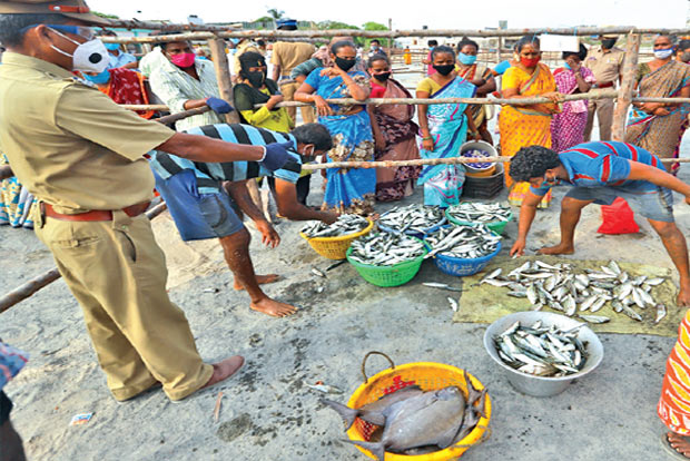 Poor turnout, ‘distancing’ affecting sale: Fishermen