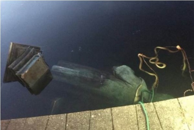 US: Richmond protesters topple Columbus statue, throw it in lake