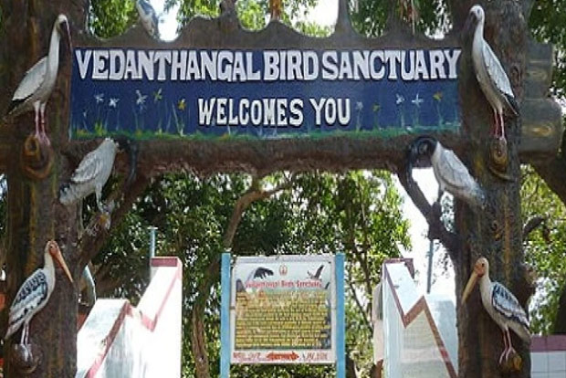 TNCC opposes govt move to reduce Vedanthangal zone