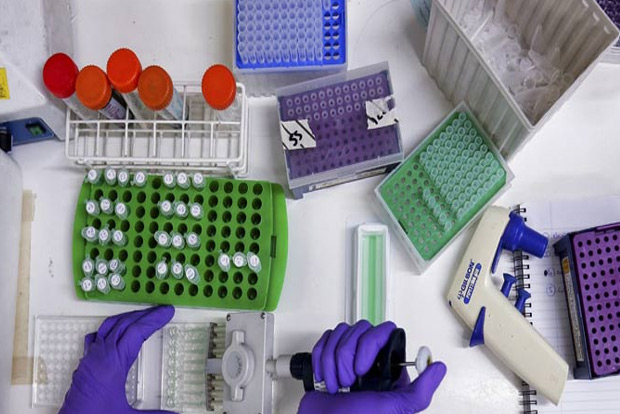 Pharma biz seeks clearance of imported APIs, medical devices