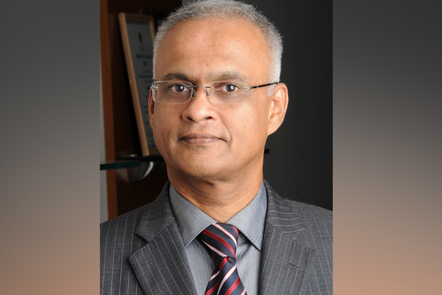 Sundaram Mutual makes a case for large cap dominance