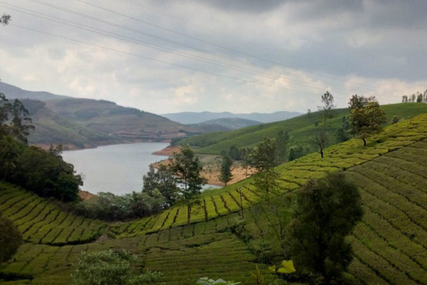 Ooty’s Avalanche to open for tourists soon