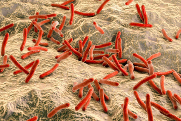 Consultancy Corner: Early detection of leprosy can save nerve cells