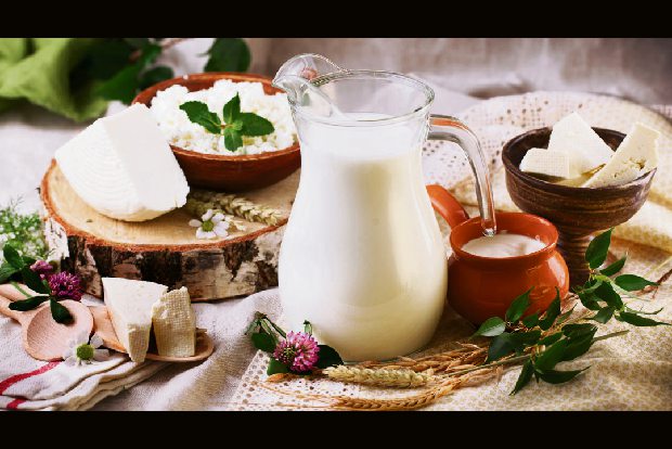 Full-fat dairy products not linked to weight gain, high BP in kids