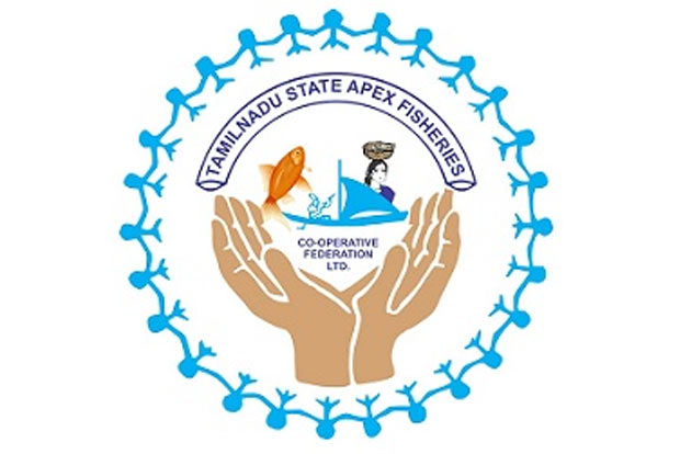 Kayaking to be introduced at Chetpet lake