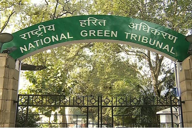 NGT directs DDA to constitute special purpose vehicle for Yamuna rejuvenation