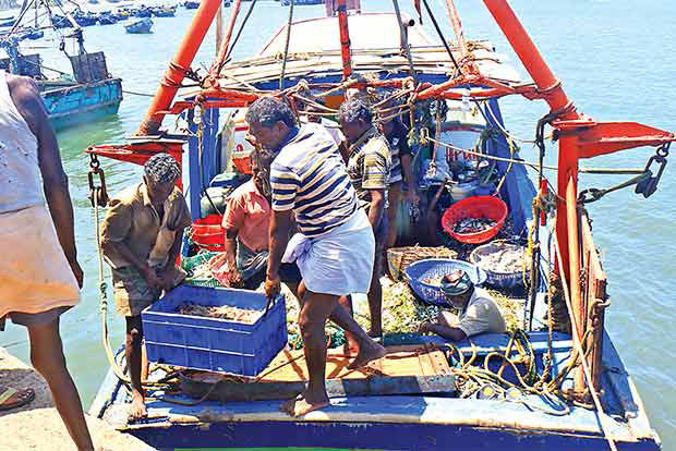 ‘Allow multi-day fishing in sea off Thoothukudi’