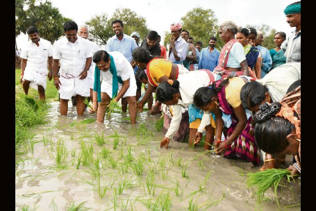 ‘Mayiladuthurai district’ under consideration, informs EPS ‘Mayiladuthurai district’ under consideration, informs EPS