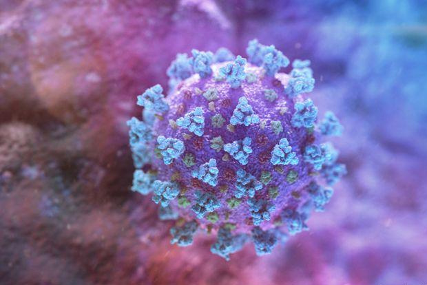 Suriname confirms first case of COVID-19 in country: Reports