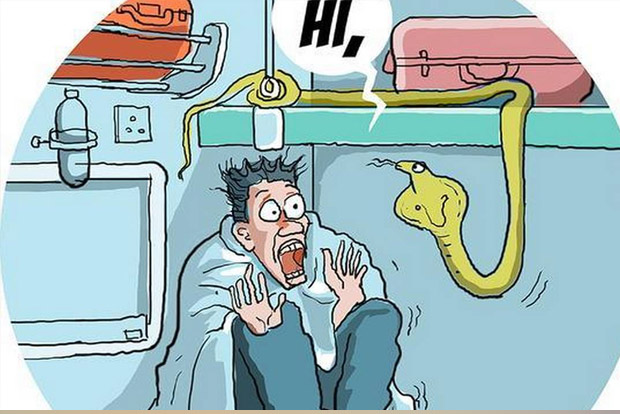 Snake scare in AC coach delays Alappuzha Express