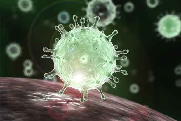 Tackling virus, all hands on deck