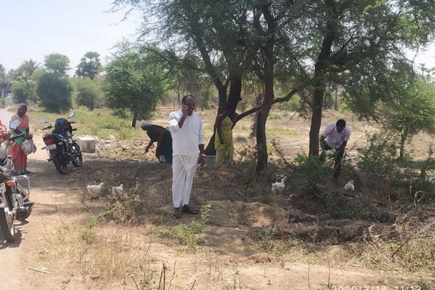 Fowl play: Villagers help themselves to chicken abandoned by poultry farms