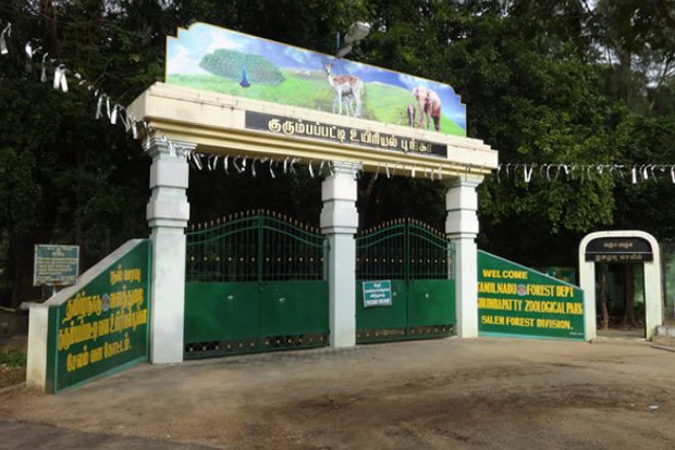 Efforts on to make Kurumbapatty Zoo a medium category facility