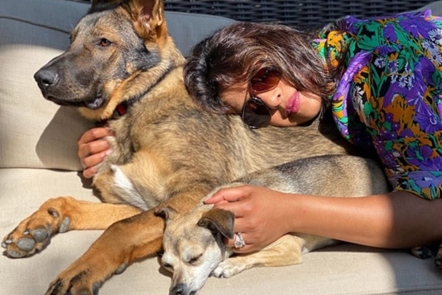 Priyanka Chopras new pic packed with sunshine, cuddles