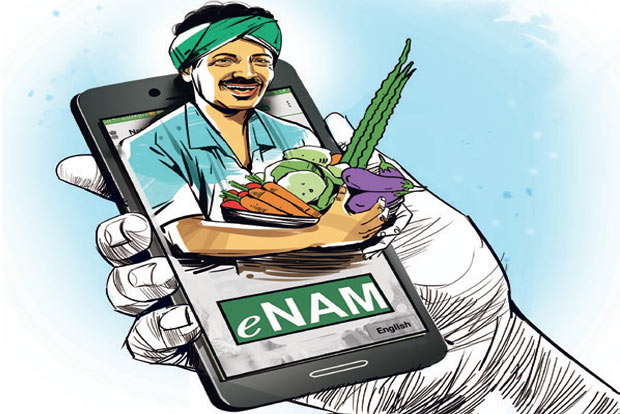 177 e-mandis, including 13 in State, launched