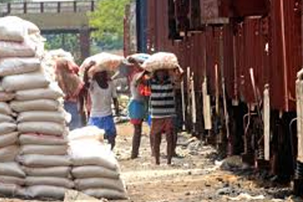 Foodgrain production to be at record 295.67 mn tonnes