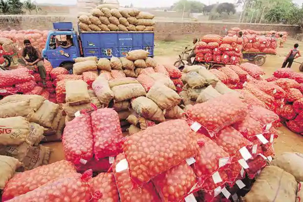 New pricing structure cheers Vellore ryots