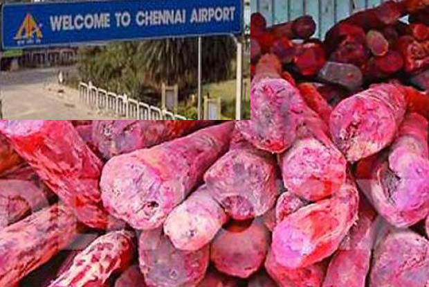 Red sanders worth Rs 35L in air parcel to Malaysia