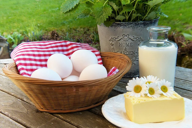 Dietary source to the Sunshine Vitamin